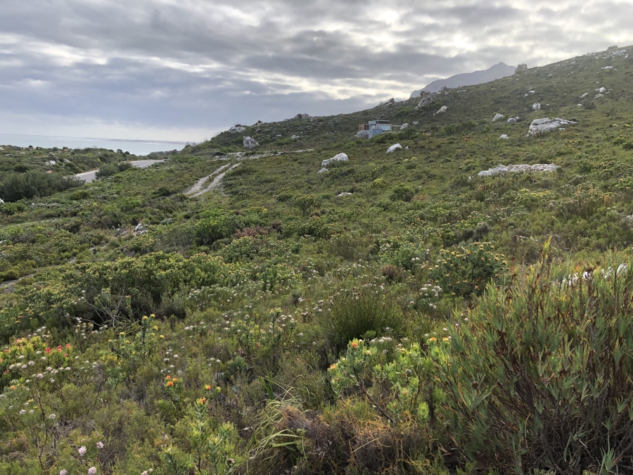 0 Bedroom Property for Sale in Sunny Seas Estate Western Cape